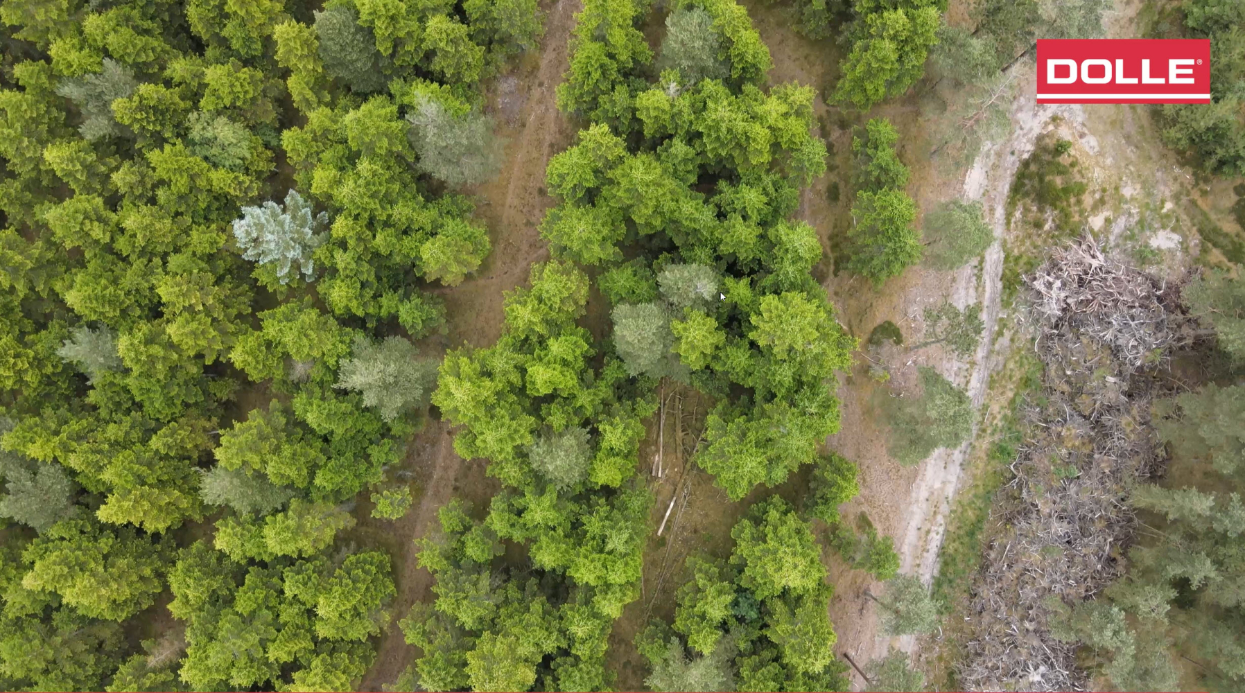 DOLLE forest sustainability initiative visual – top-down view of managed woodland